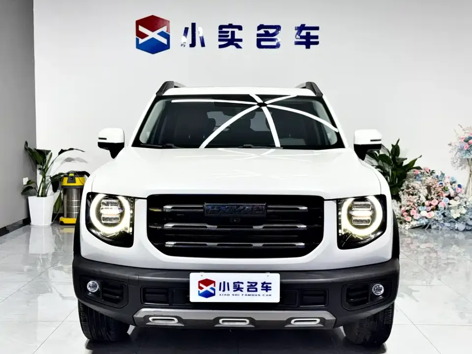 Haval Big Dog