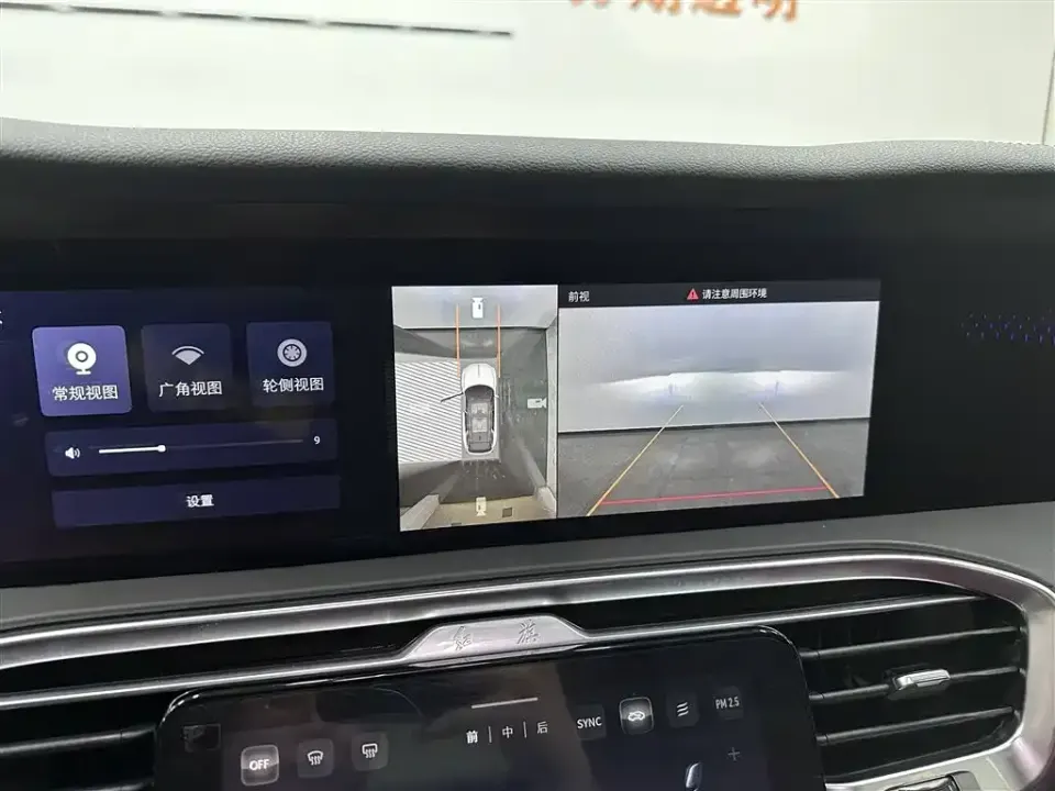 Hongqi Hongqi E-HS9