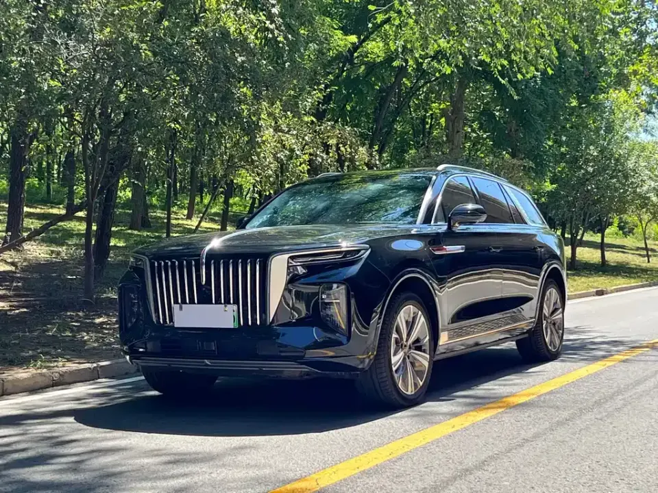 Hongqi Hongqi E-HS9