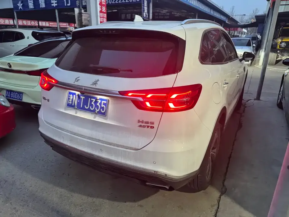 Hongqi Hongqi HS5
