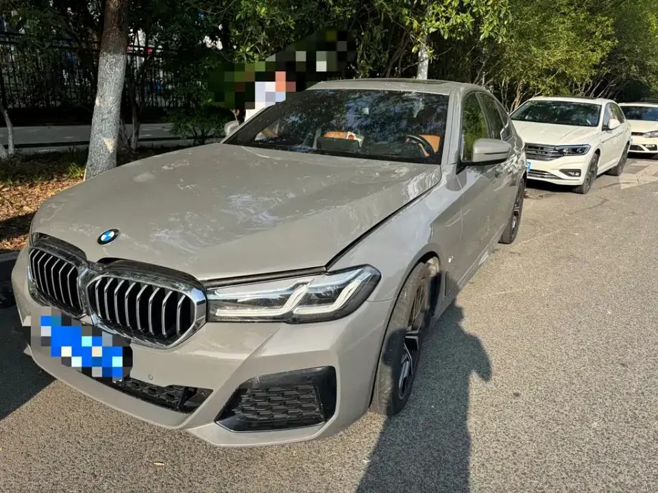 BMW 5 Series (Import)