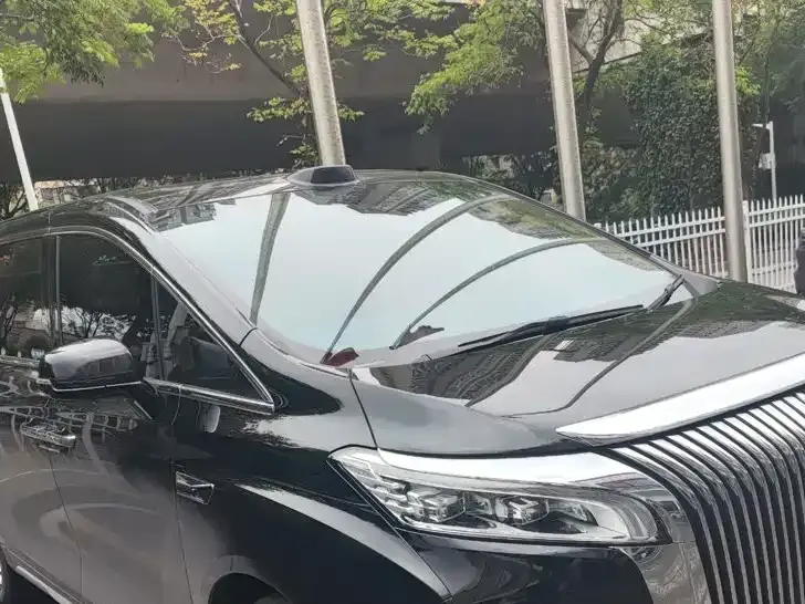 WEY Wey Gaoshan New Energy