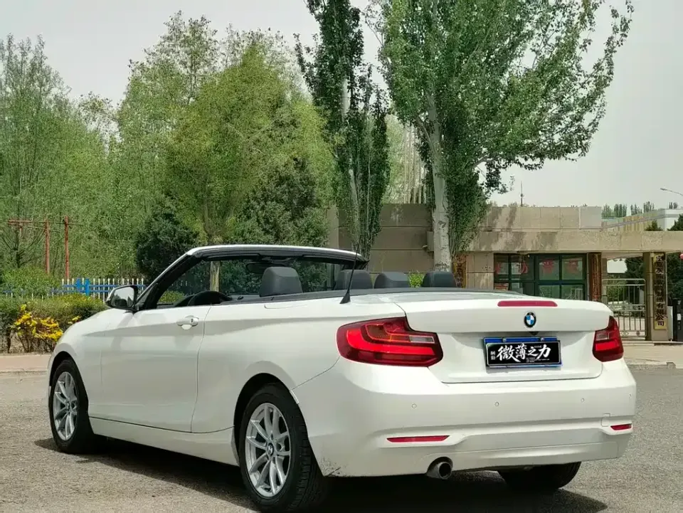BMW 2 Series (Import)