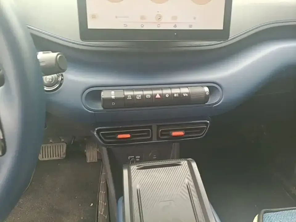 BYD Seagull