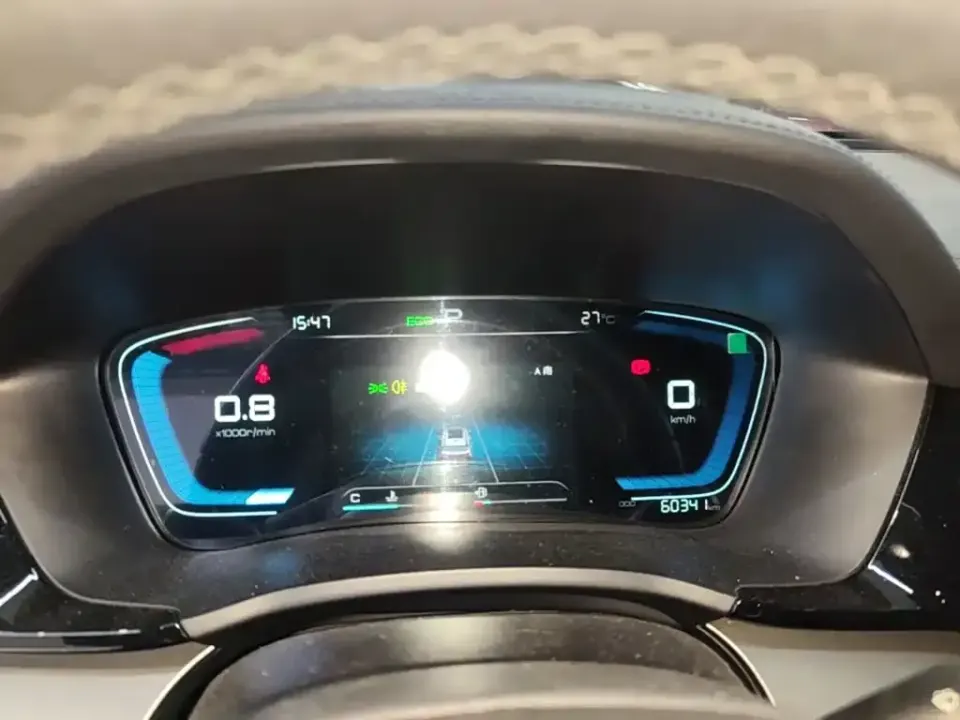 BYD PLUS