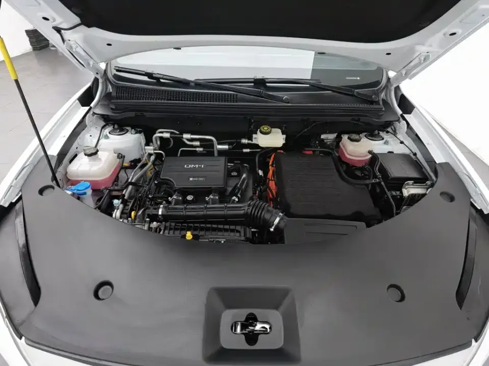 BYD Pro New Energy