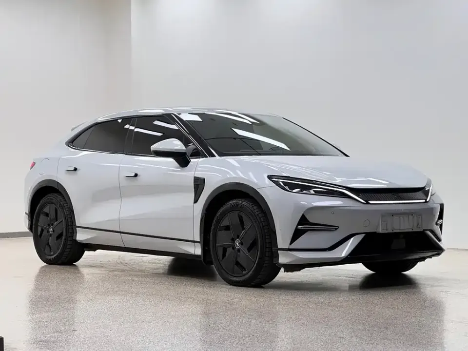 BYD L EV