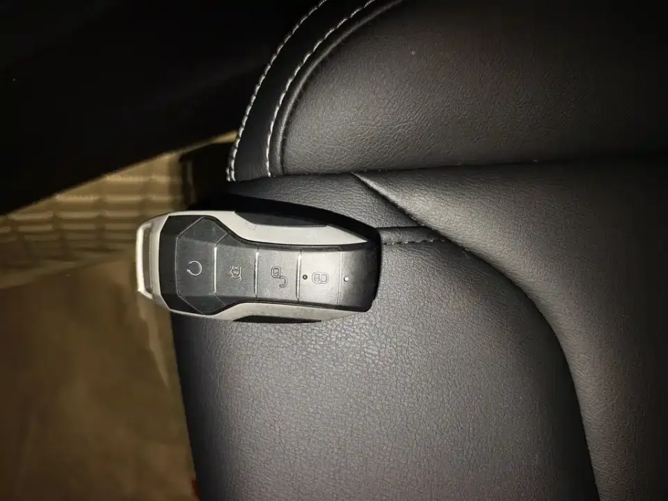 BYD Pro