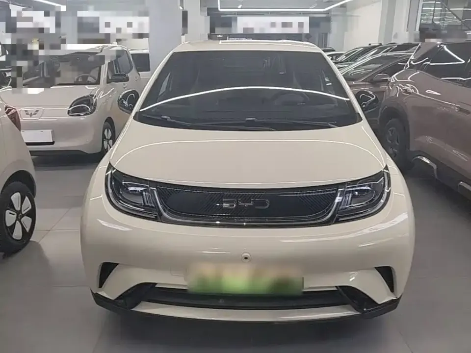 BYD Dolphin