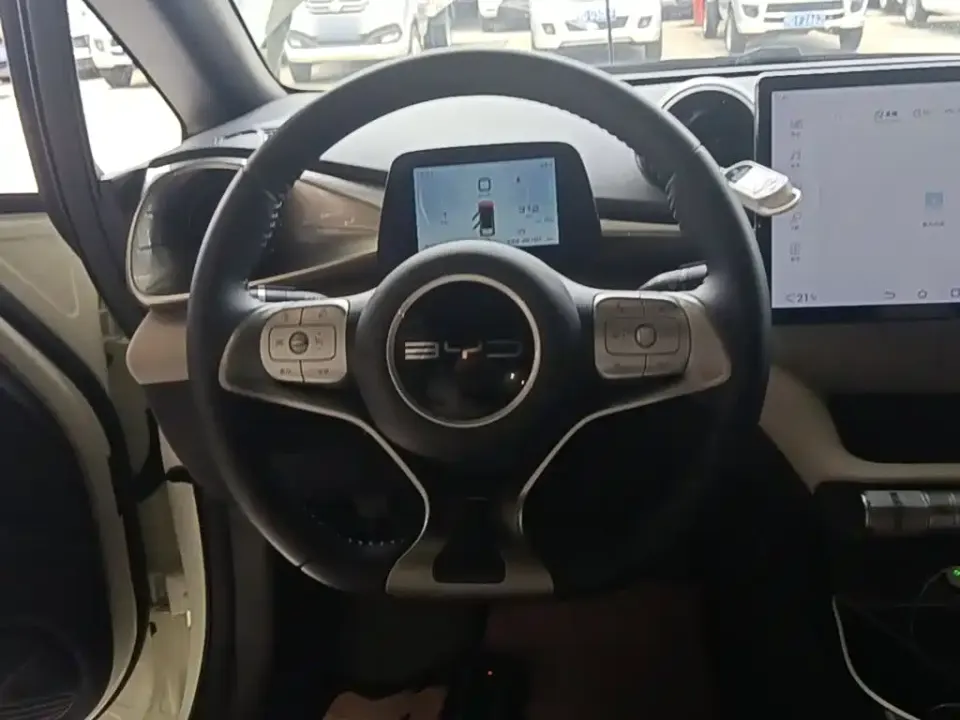 BYD Dolphin