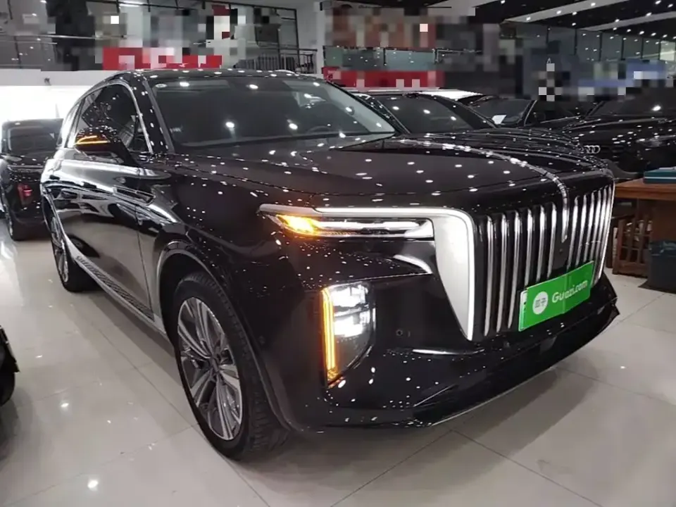 Hongqi Hongqi E-HS9