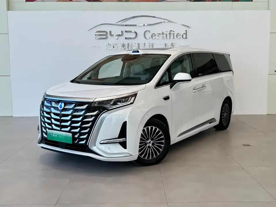 Denza Denza D9
