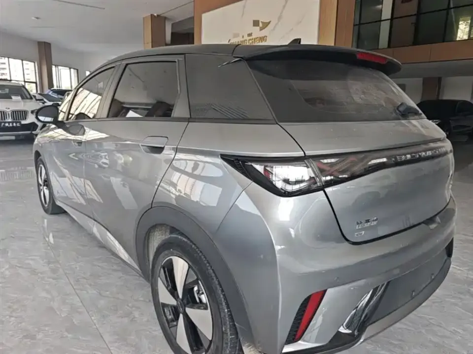BYD Dolphin
