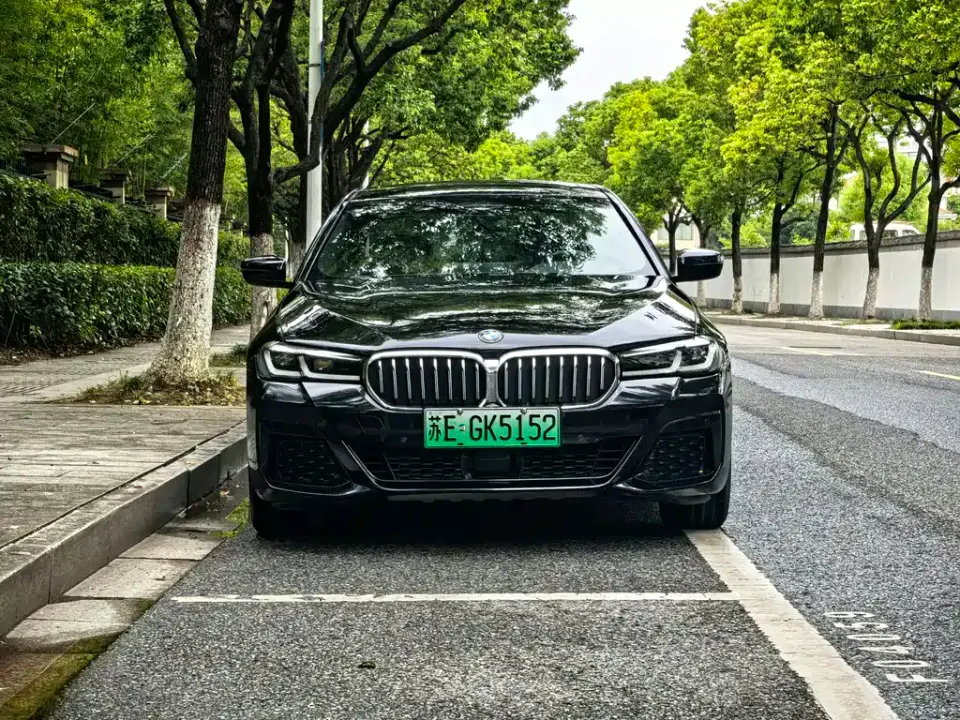 BMW 5 Series New Energy