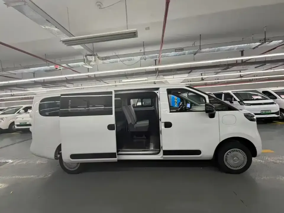 Maxus V1L