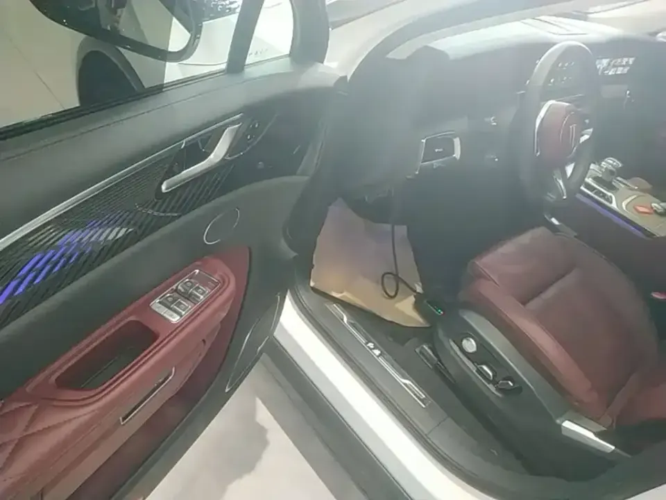 Hongqi Hongqi E-HS9