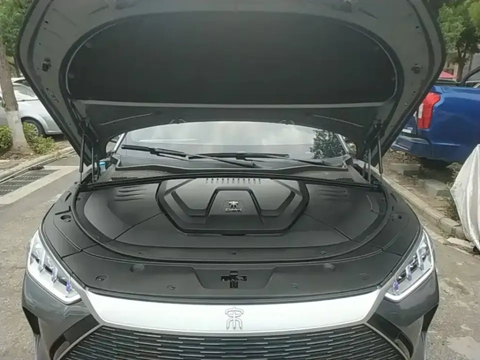 BYD PLUS New Energy