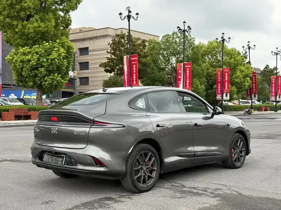 IM Motors IM LS6