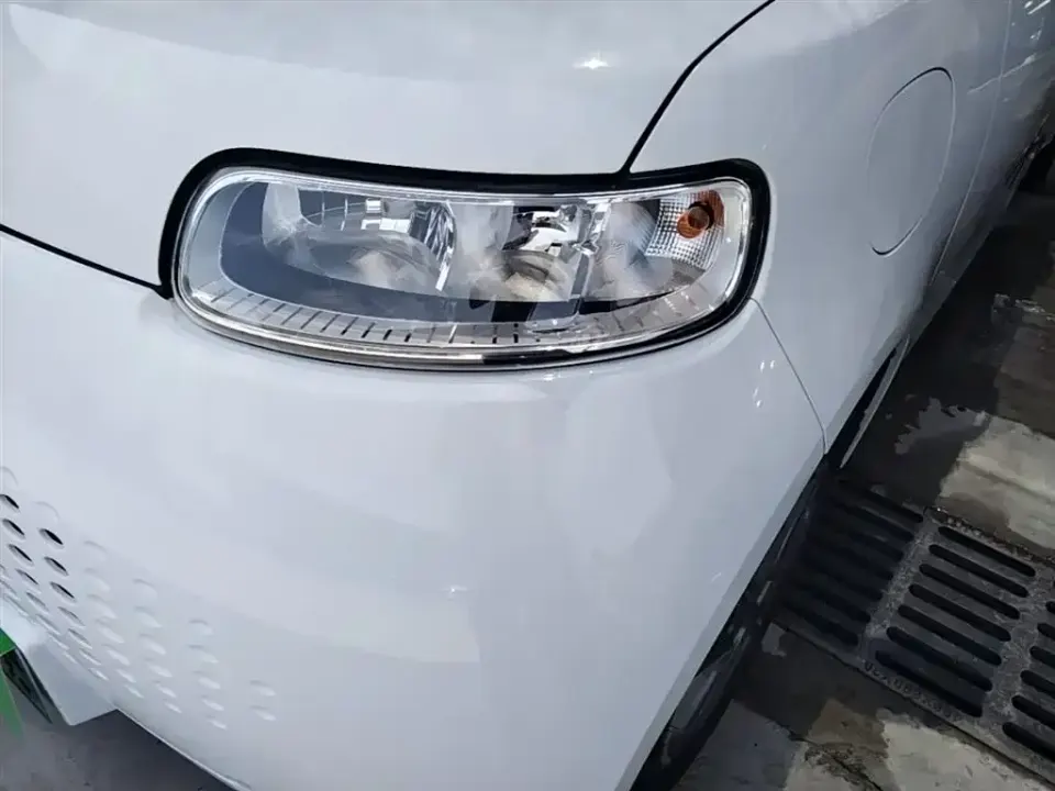 ORA Ora White Cat