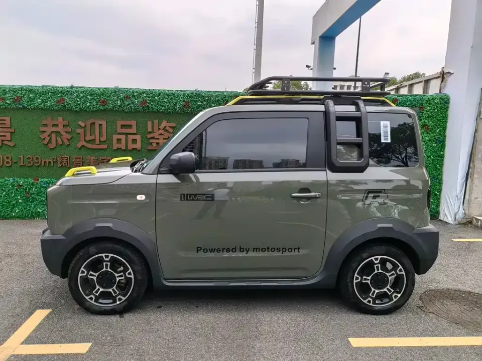 Galaxy Panda