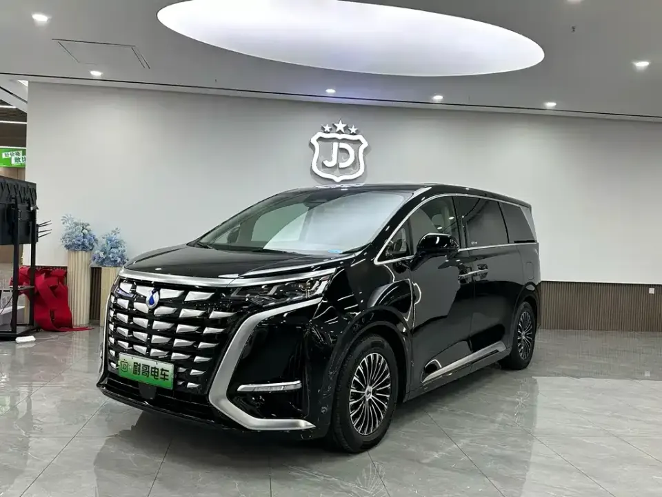 Denza Denza D9