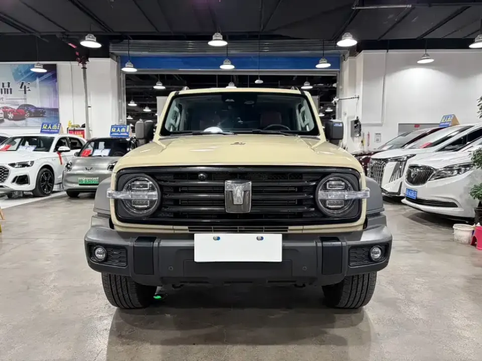 Tank 300