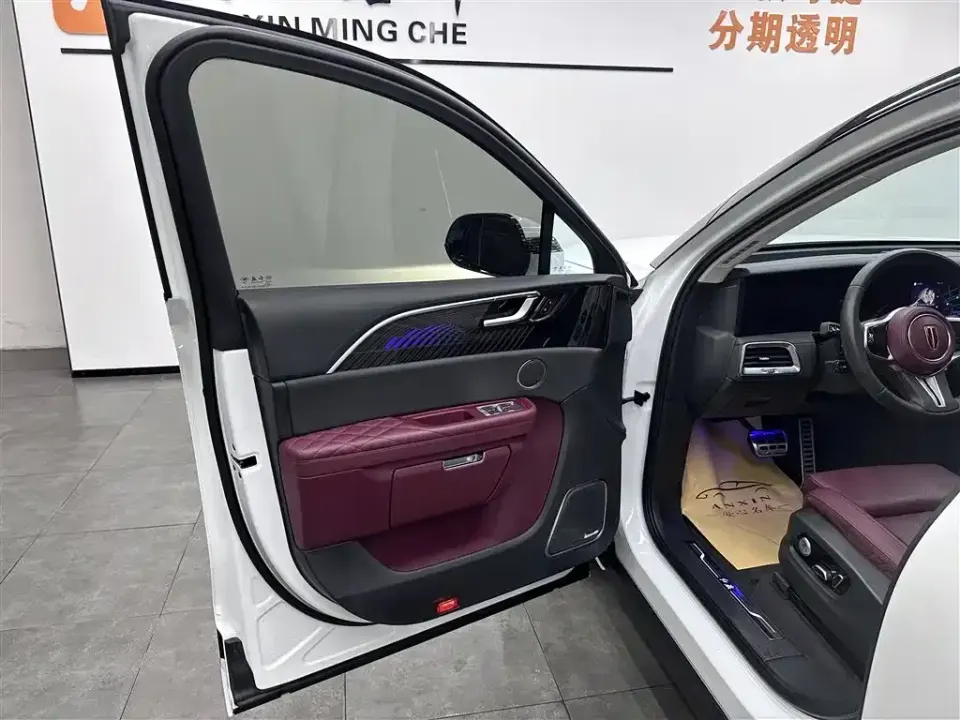Hongqi Hongqi E-HS9