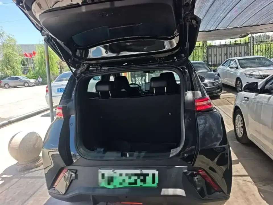 BYD Seagull