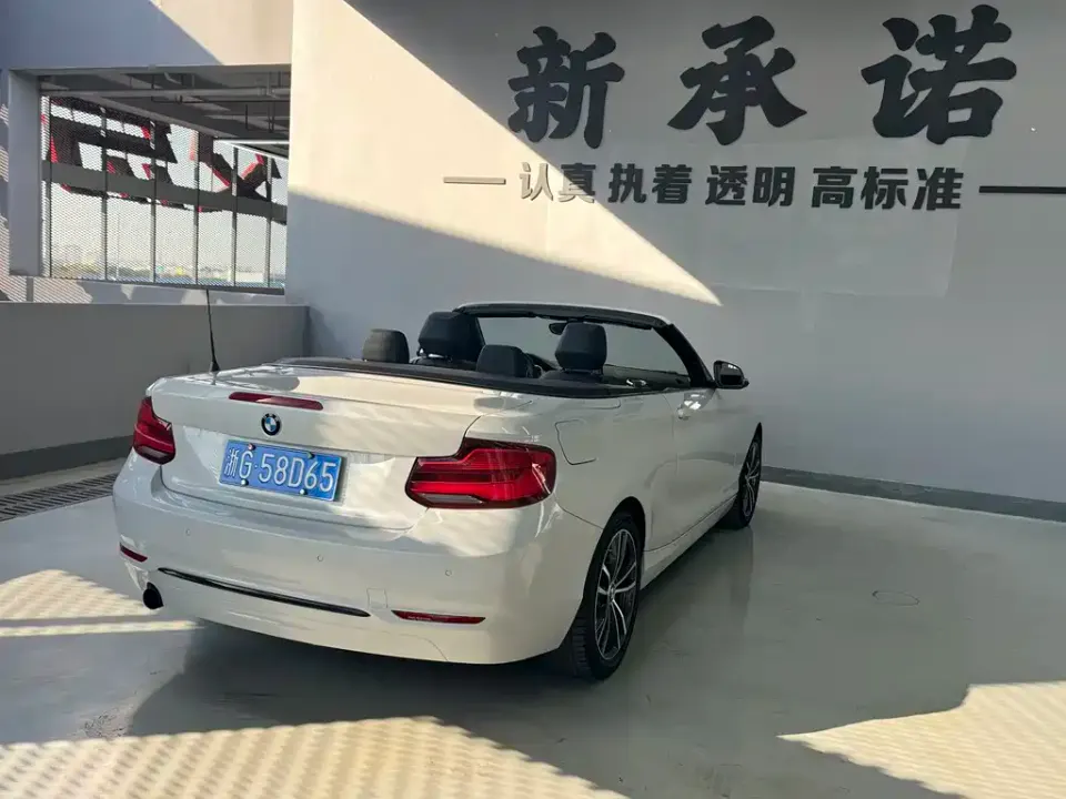 BMW 2 Series (Import)