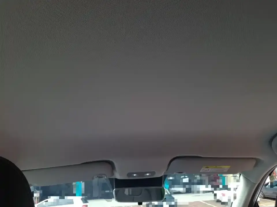 Neta Neta V