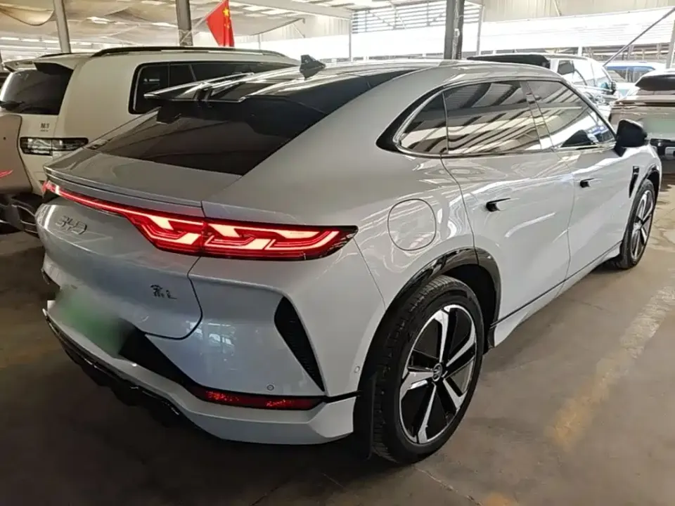 BYD L EV
