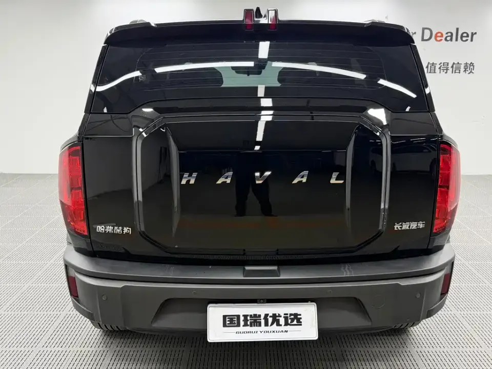 Haval Cool Dog