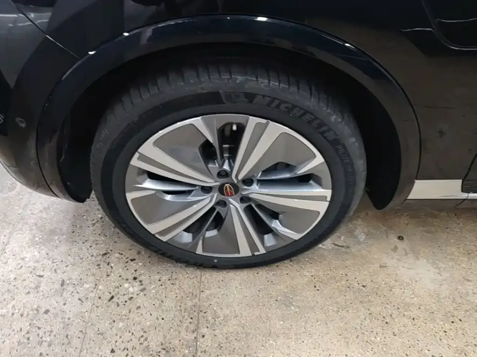 Hongqi Hongqi E-HS9