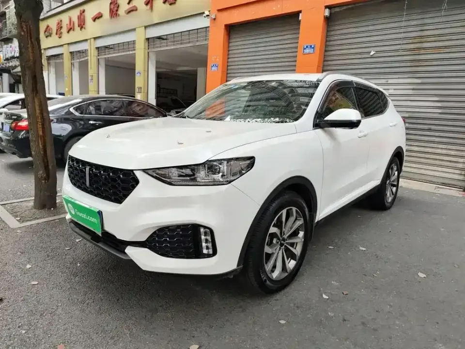 WEY Wey VV6