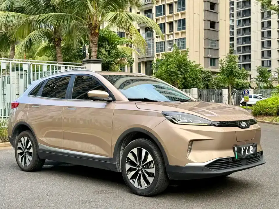 WM Motor EX5