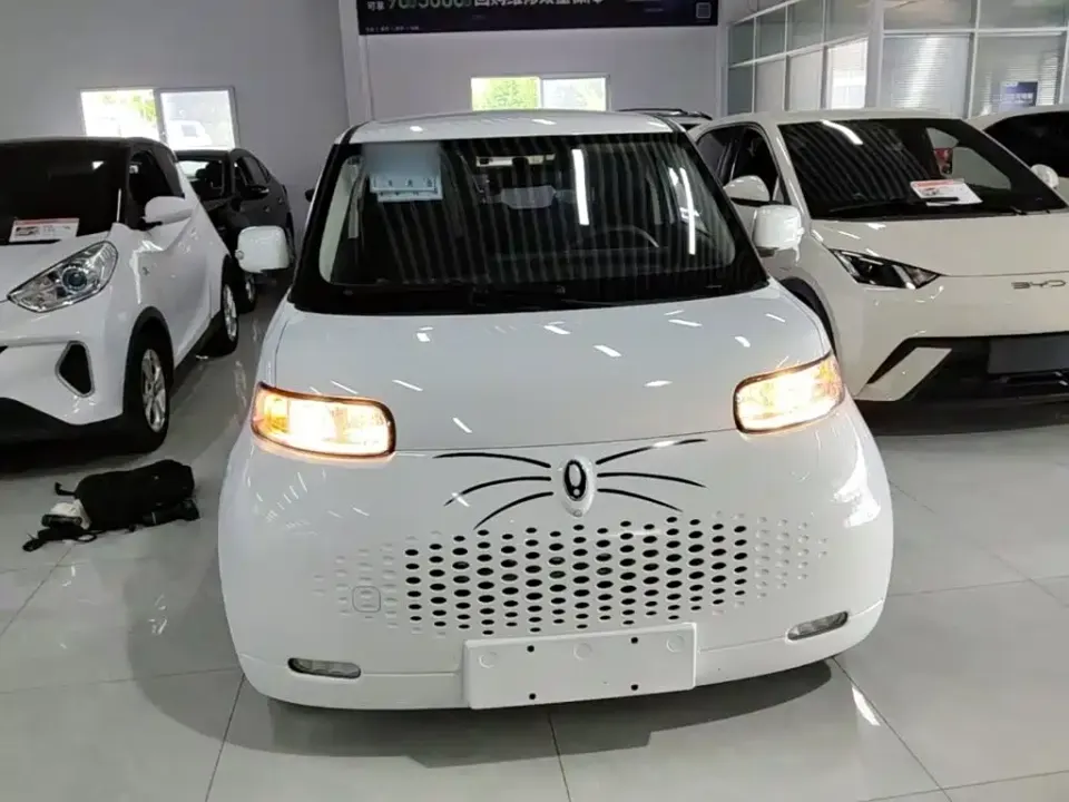 ORA Ora White Cat