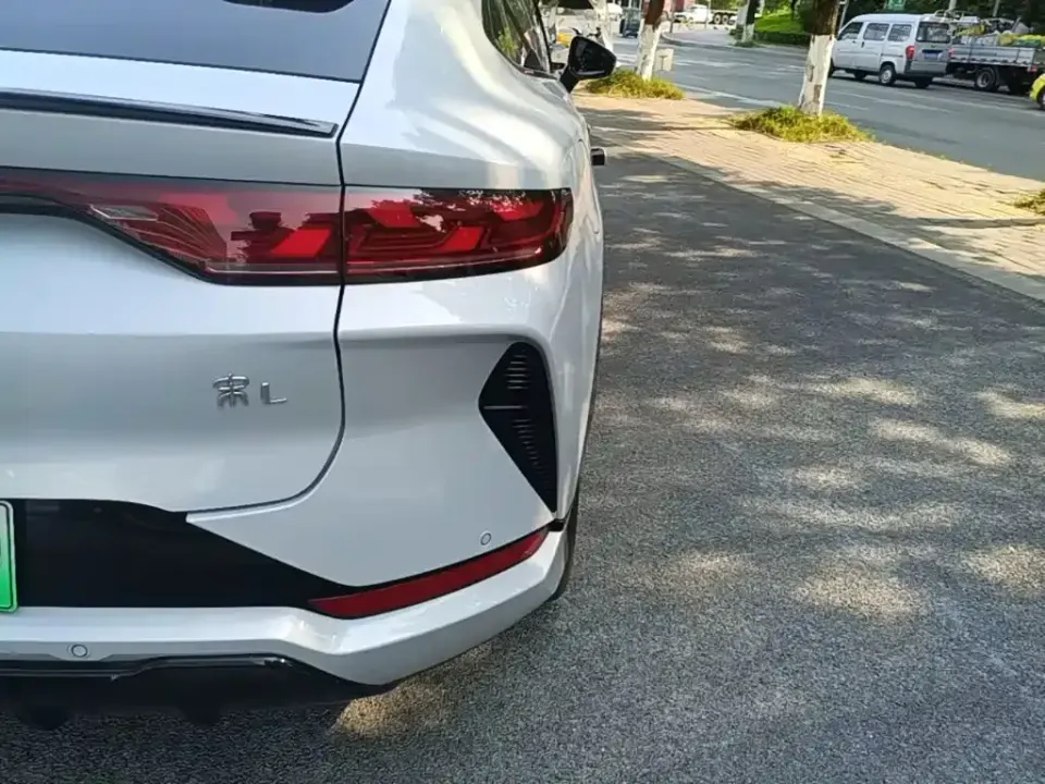 BYD L EV