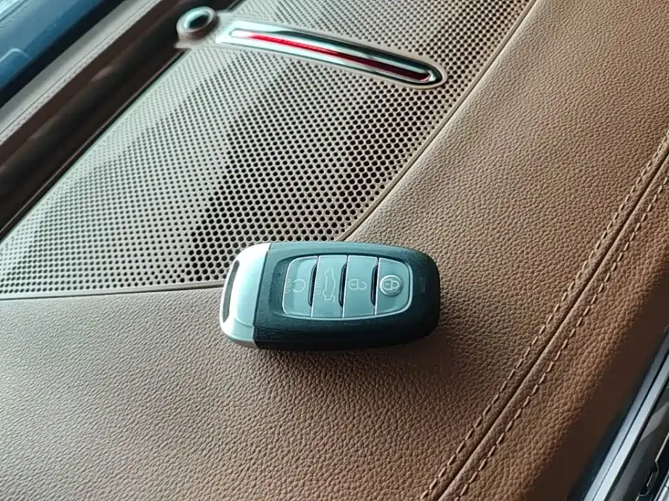 Hongqi Hongqi H9