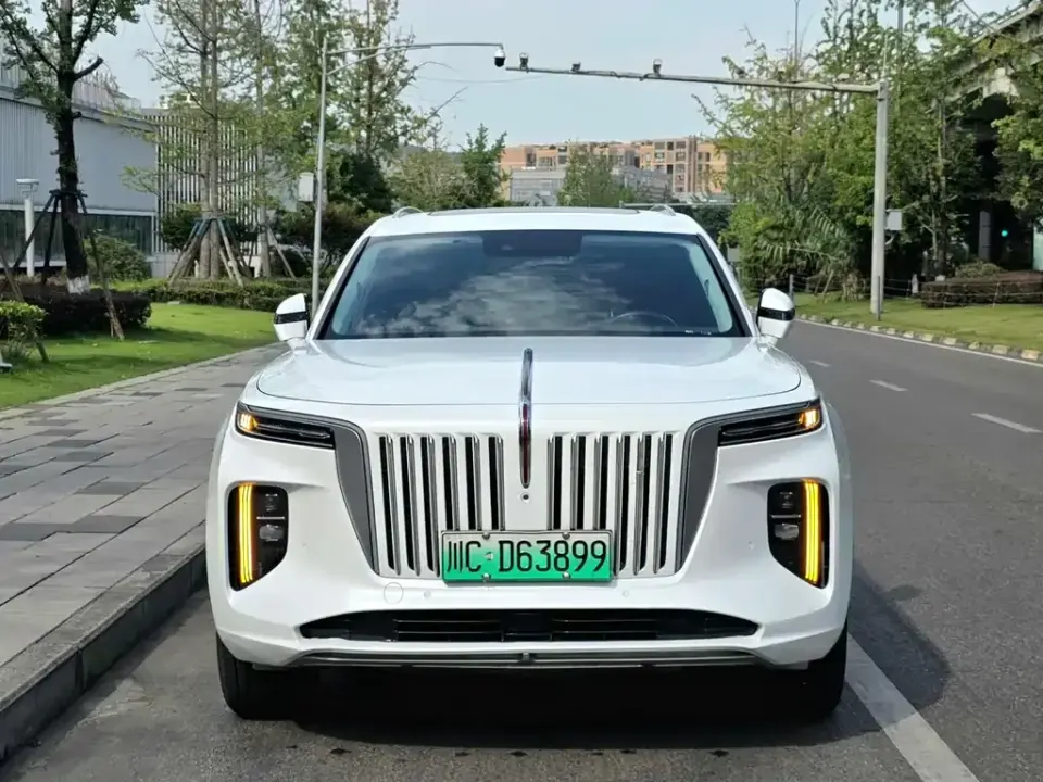 Hongqi Hongqi E-HS9