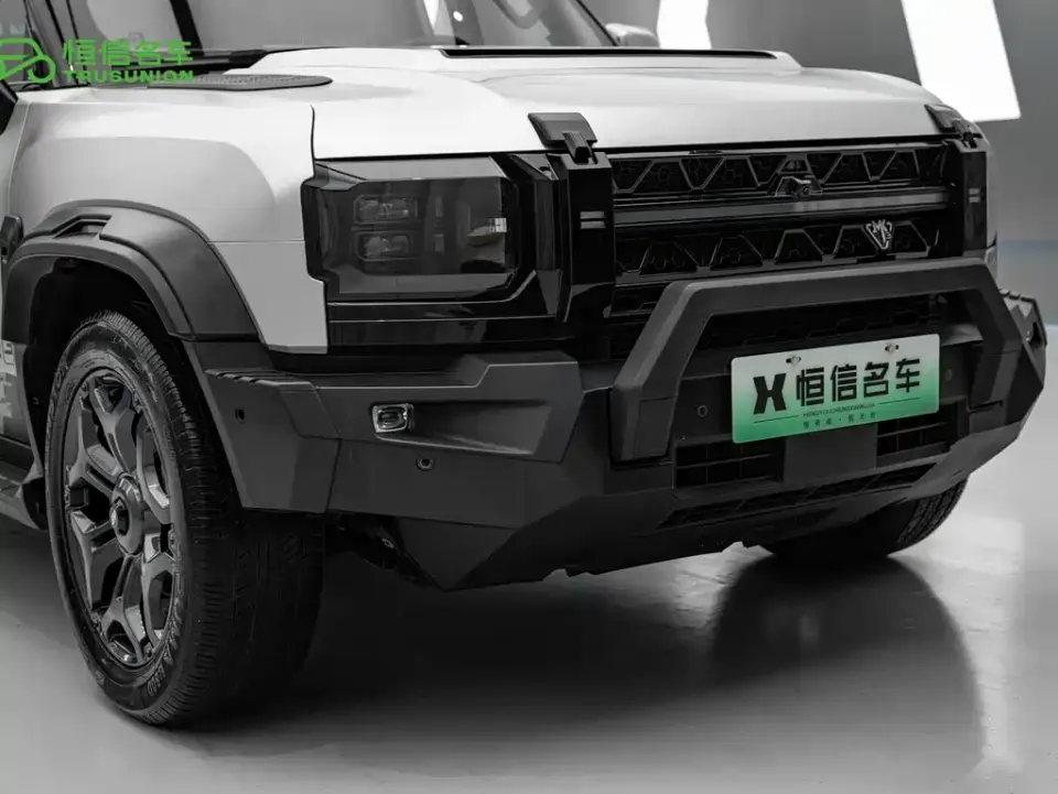 Shanhai Traveller C-DM