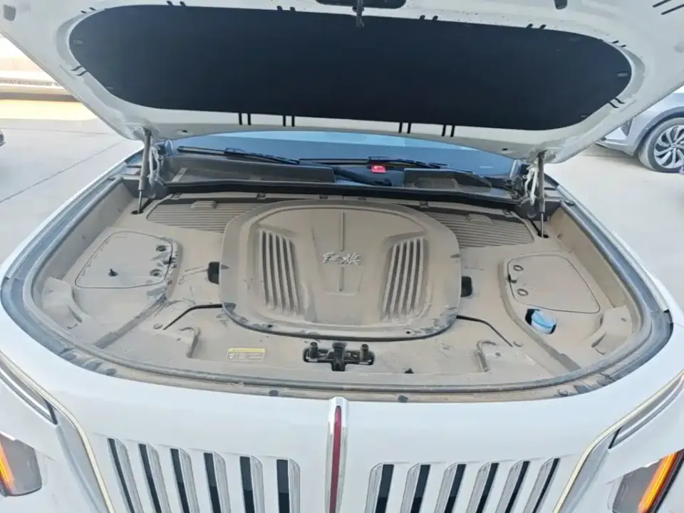 Hongqi Hongqi E-HS9