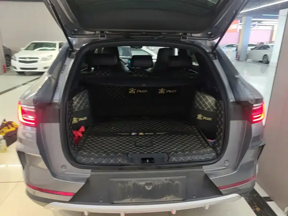 BYD PLUS