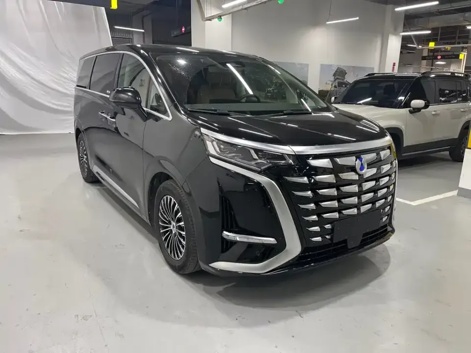 Denza Denza D9