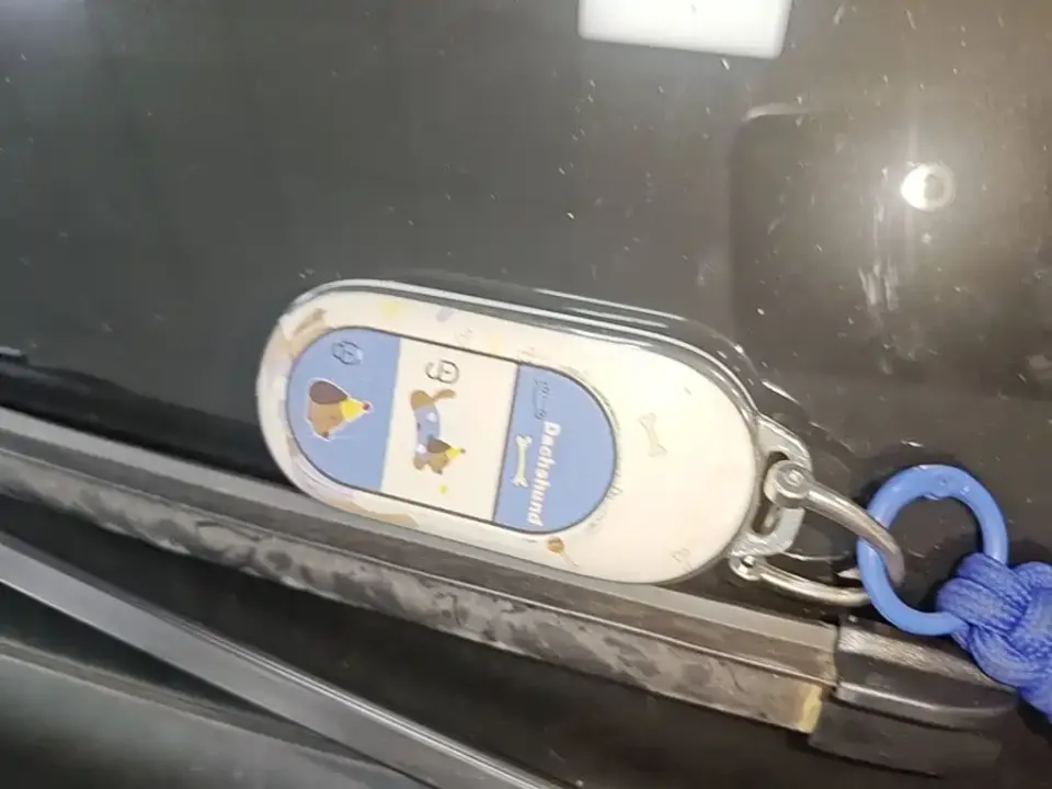 Leapmotor Leapmotor C11