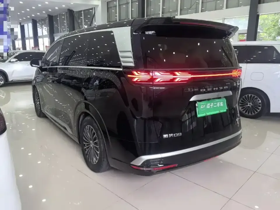 Denza Denza D9