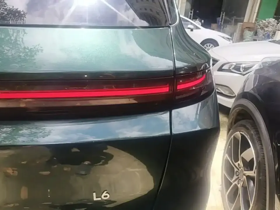Li Li L6