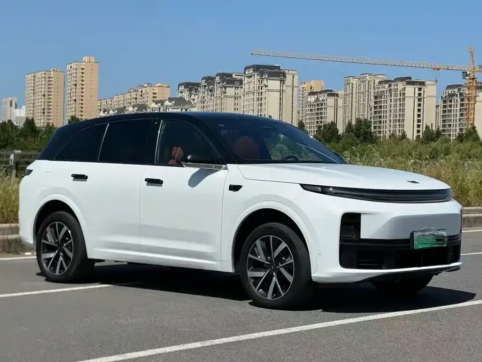 Li Li L6