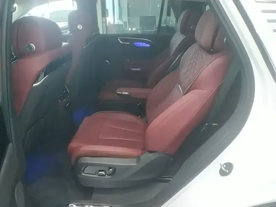 Hongqi Hongqi E-HS9