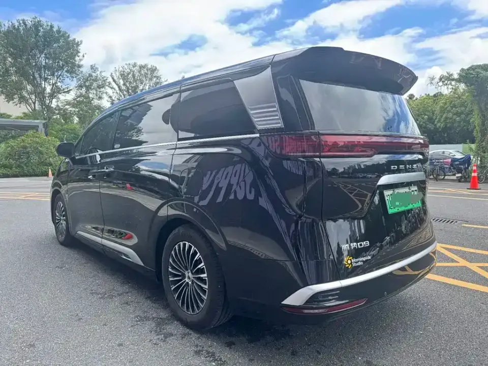 Denza Denza D9