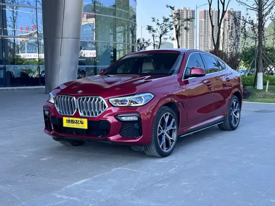 BMW X6